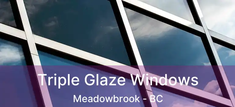  Triple Glaze Windows Meadowbrook - BC