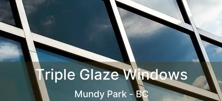  Triple Glaze Windows Mundy Park - BC