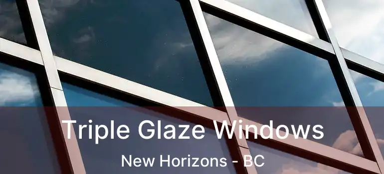 Triple Glaze Windows New Horizons - BC