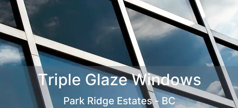  Triple Glaze Windows Park Ridge Estates - BC