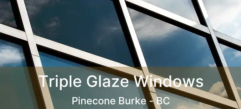  Triple Glaze Windows Pinecone Burke - BC