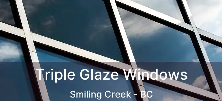  Triple Glaze Windows Smiling Creek - BC
