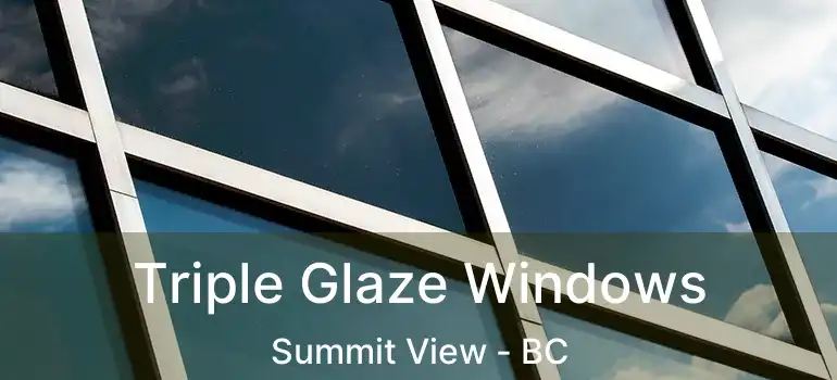  Triple Glaze Windows Summit View - BC