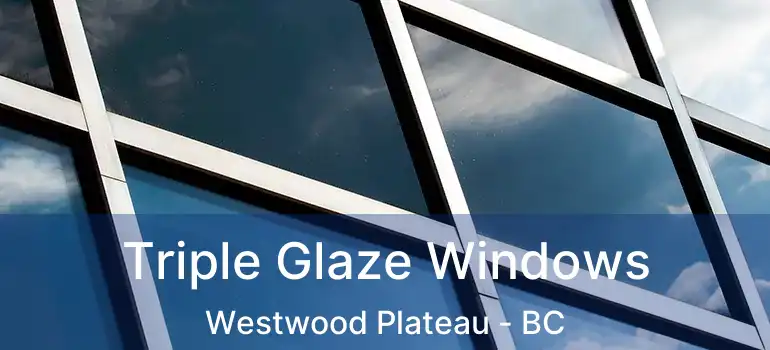  Triple Glaze Windows Westwood Plateau - BC