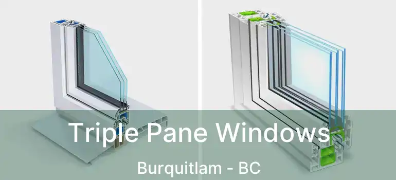  Triple Pane Windows Burquitlam - BC
