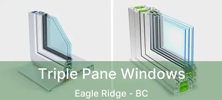  Triple Pane Windows Eagle Ridge - BC