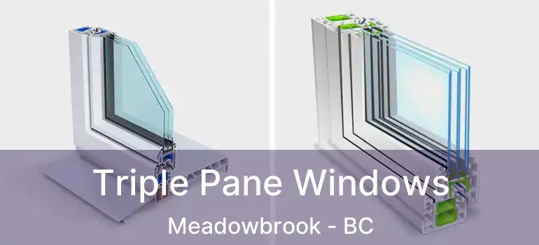  Triple Pane Windows Meadowbrook - BC