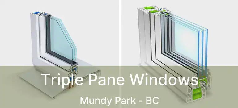  Triple Pane Windows Mundy Park - BC