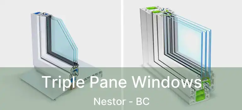  Triple Pane Windows Nestor - BC