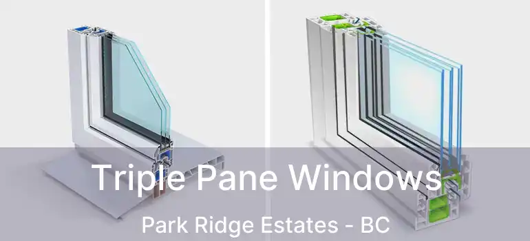  Triple Pane Windows Park Ridge Estates - BC