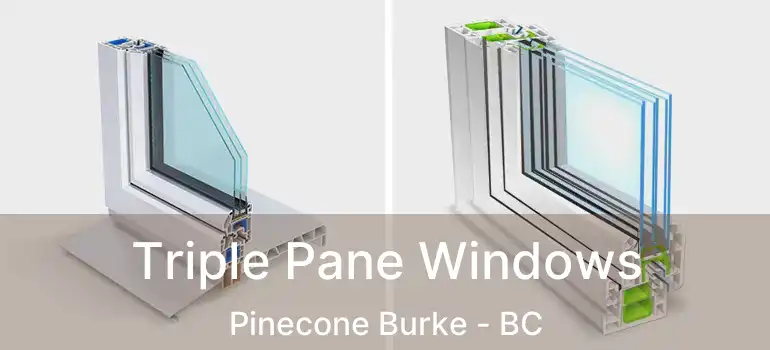  Triple Pane Windows Pinecone Burke - BC