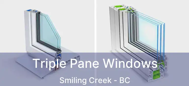  Triple Pane Windows Smiling Creek - BC