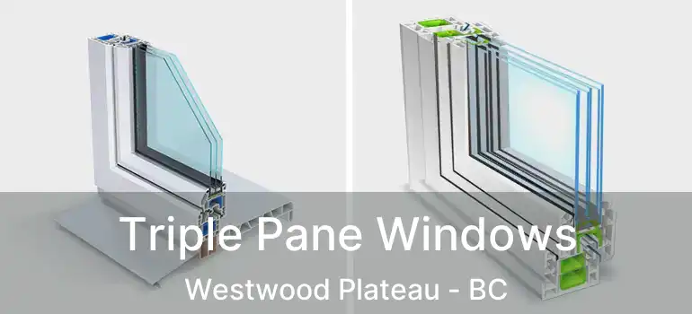  Triple Pane Windows Westwood Plateau - BC