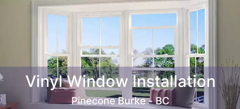  Vinyl Window Installation Pinecone Burke - BC