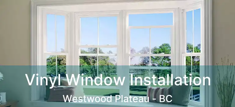  Vinyl Window Installation Westwood Plateau - BC