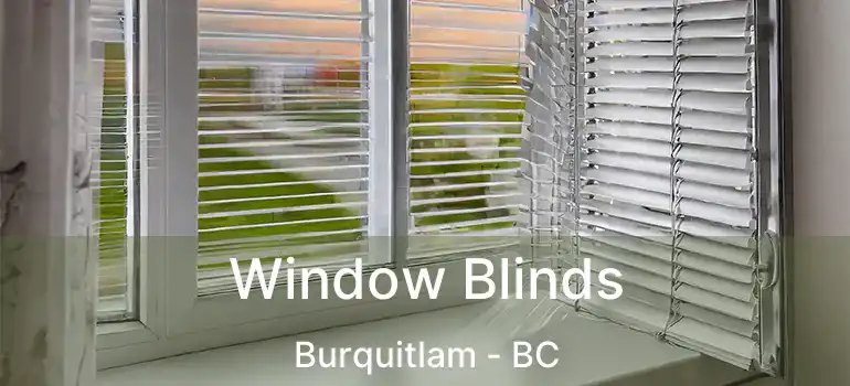  Window Blinds Burquitlam - BC