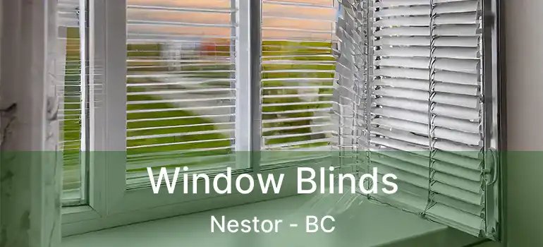  Window Blinds Nestor - BC