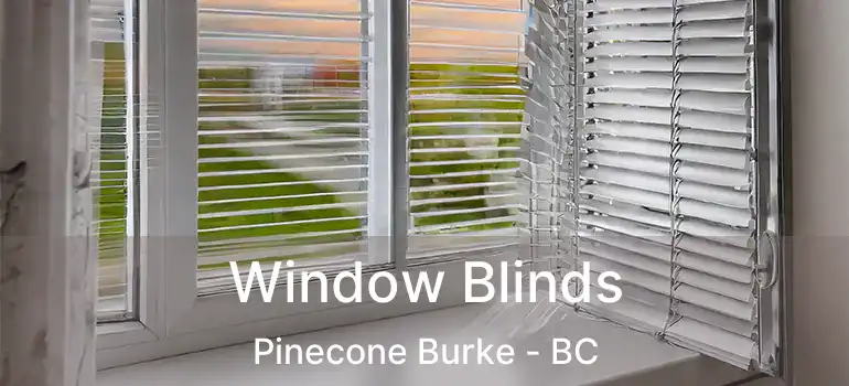  Window Blinds Pinecone Burke - BC