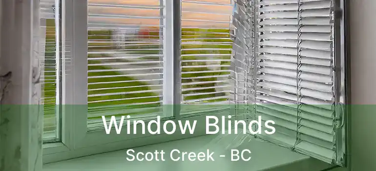  Window Blinds Scott Creek - BC