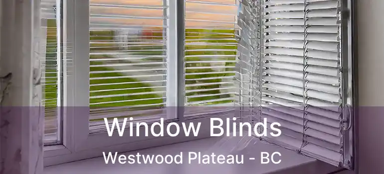  Window Blinds Westwood Plateau - BC