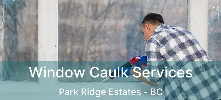  Window Caulk Services Park Ridge Estates - BC