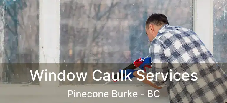  Window Caulk Services Pinecone Burke - BC