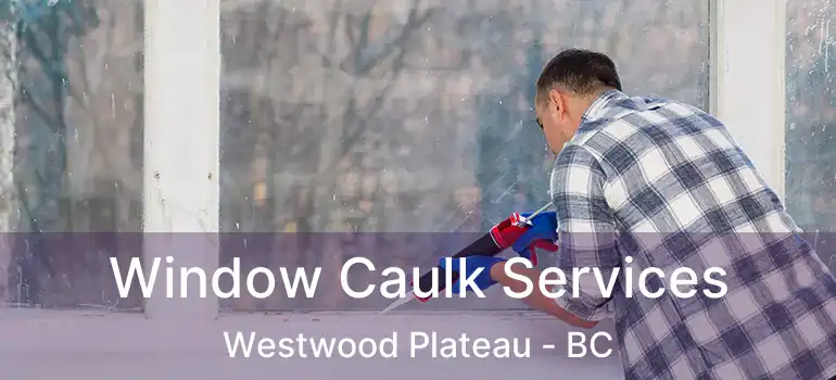  Window Caulk Services Westwood Plateau - BC