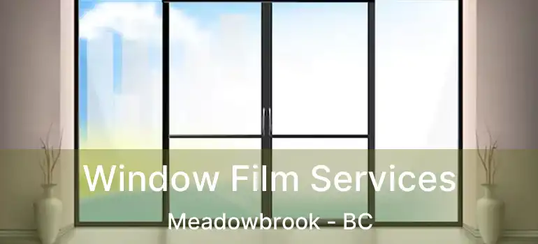  Window Film Services Meadowbrook - BC