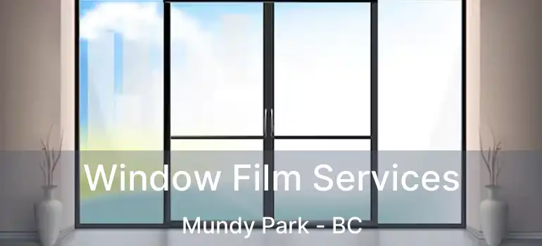  Window Film Services Mundy Park - BC