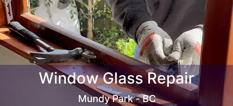  Window Glass Repair Mundy Park - BC