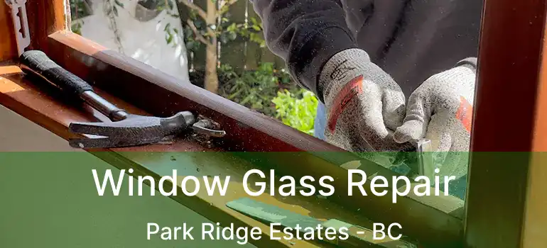  Window Glass Repair Park Ridge Estates - BC