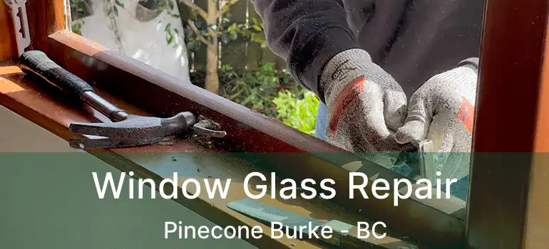  Window Glass Repair Pinecone Burke - BC