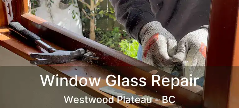  Window Glass Repair Westwood Plateau - BC