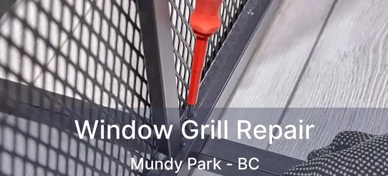  Window Grill Repair Mundy Park - BC