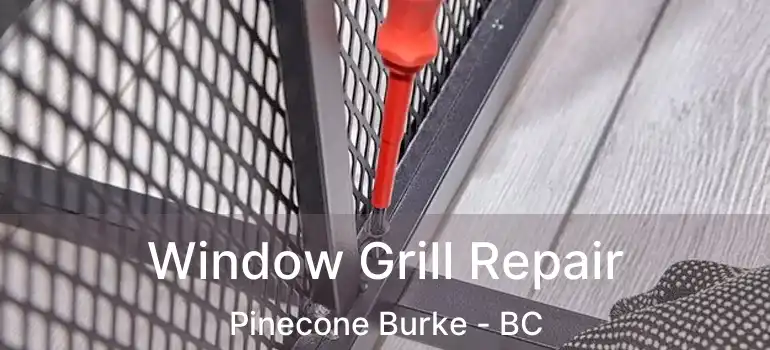  Window Grill Repair Pinecone Burke - BC
