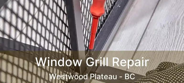  Window Grill Repair Westwood Plateau - BC