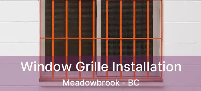  Window Grille Installation Meadowbrook - BC