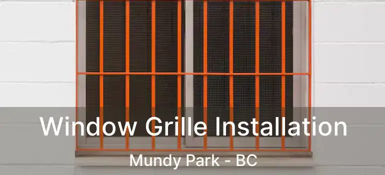  Window Grille Installation Mundy Park - BC