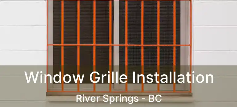  Window Grille Installation River Springs - BC