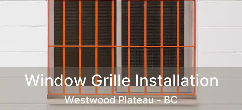  Window Grille Installation Westwood Plateau - BC