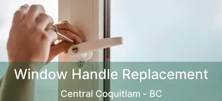  Window Handle Replacement Central Coquitlam - BC