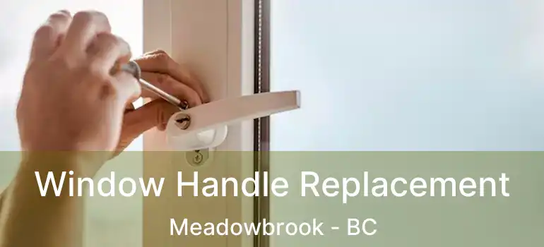  Window Handle Replacement Meadowbrook - BC