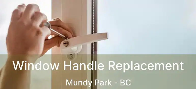  Window Handle Replacement Mundy Park - BC