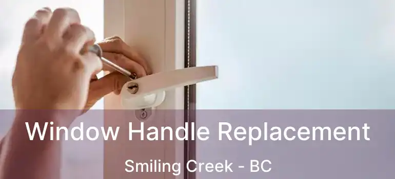  Window Handle Replacement Smiling Creek - BC