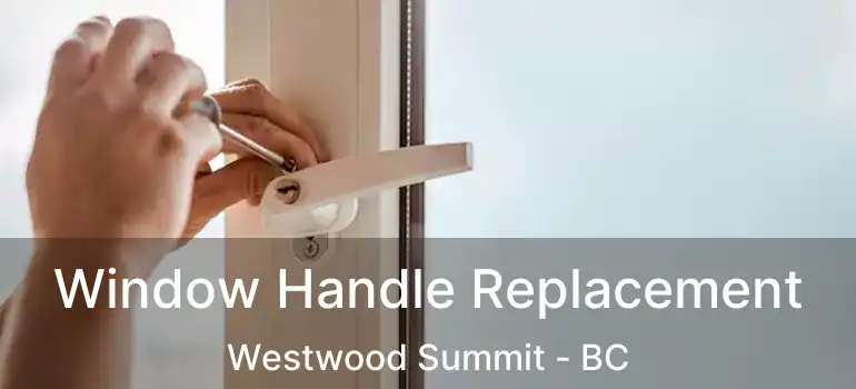  Window Handle Replacement Westwood Summit - BC