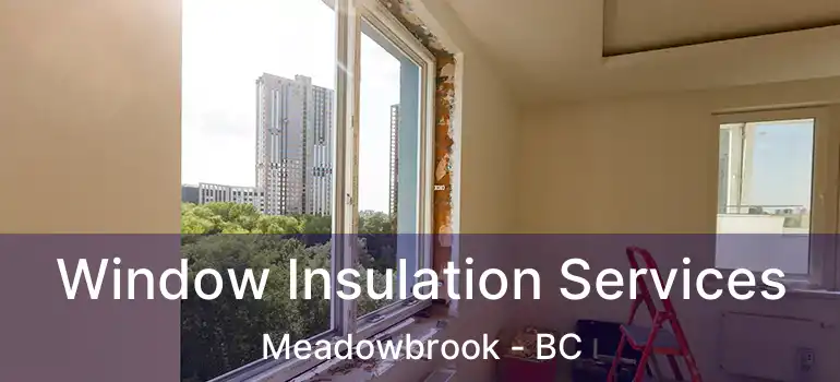  Window Insulation Services Meadowbrook - BC