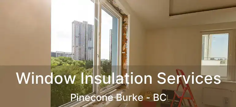  Window Insulation Services Pinecone Burke - BC