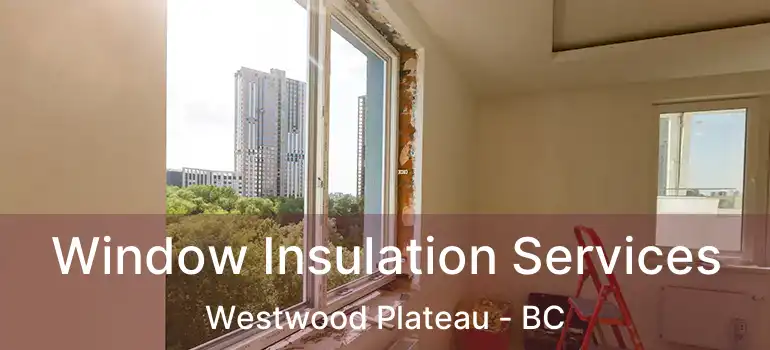  Window Insulation Services Westwood Plateau - BC