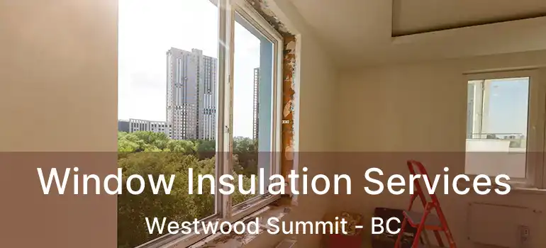  Window Insulation Services Westwood Summit - BC
