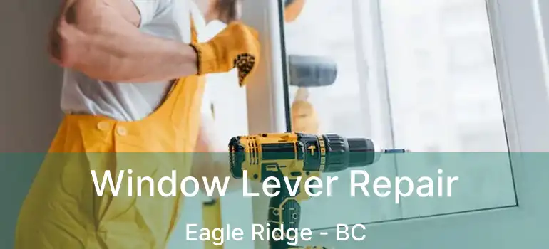  Window Lever Repair Eagle Ridge - BC